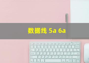 数据线 5a 6a